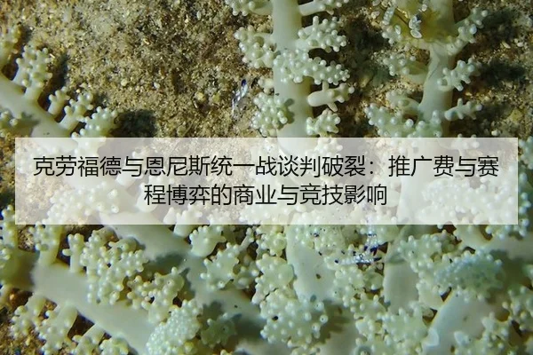 ke-lao-fu-de-yu-en-ni-si-tong-yi-zhan-tan-pan-po-lie-tui-guang-fei-yu-sai-cheng-bo-yi-de-shang-ye-yu-jing-ji-ying-xiang-3-402.jpg