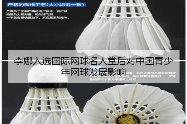 li-na-ru-xuan-guo-ji-wang-qiu-ming-ren-tang-hou-dui-zhong-guo-qing-shao-nian-wang-qiu-fa-zhan-ying-xiang-3-133.jpg